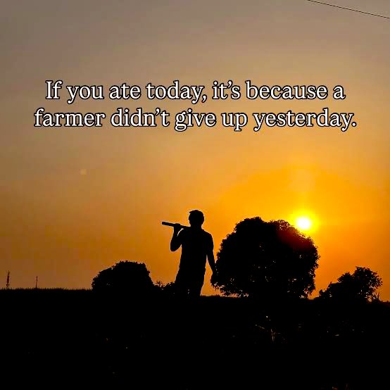 It’s the festive period, but farmers are still working every single day to provide our food.
