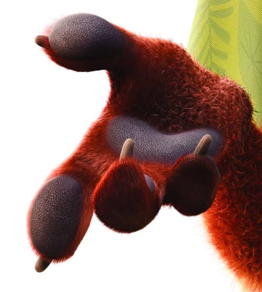 nickjudy_love's tweet image. 젤리랑 털표현 진짜 미친듯
닉 손 한번만 잡아보고 싶다&amp;gt;사심도 추가됨