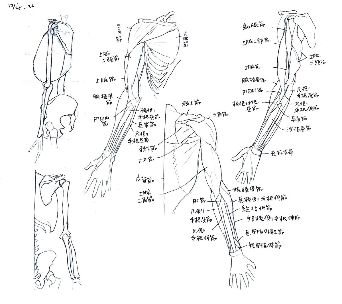 今日のソッカ〜ん #日々描く