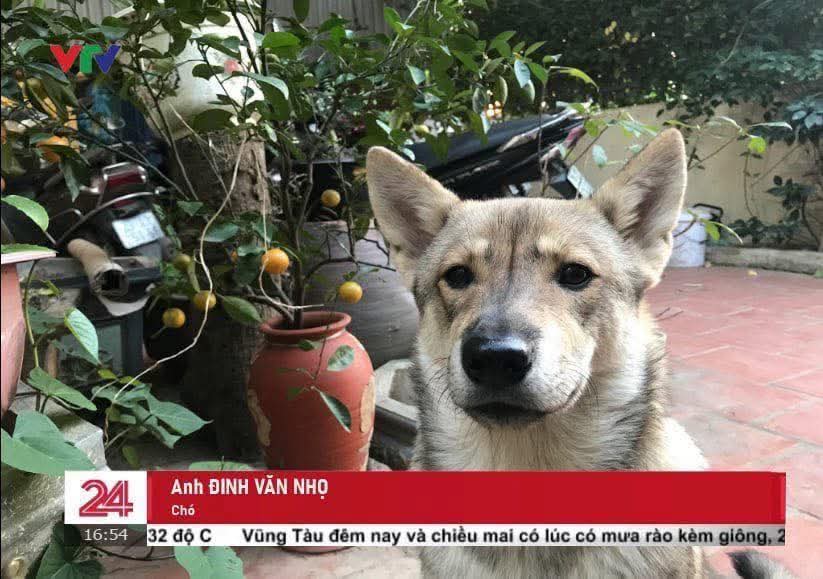 Maru🐈‍⬛ tweet media