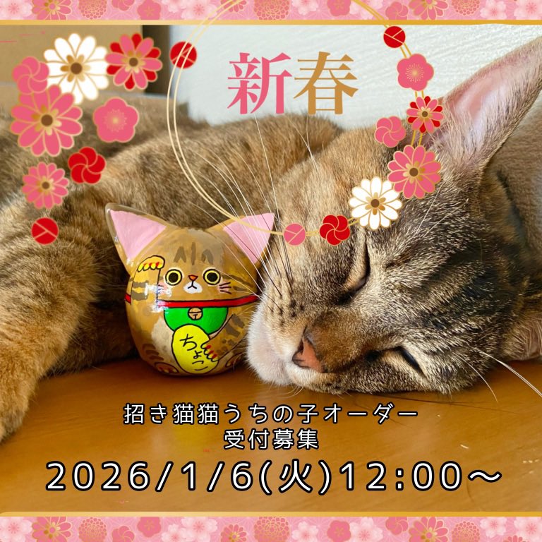 ❤︎きむさま専用❤︎ kai様専用 KAI様専用 Kai様 専用໒꒱· ゜ KAI様専用 カイ