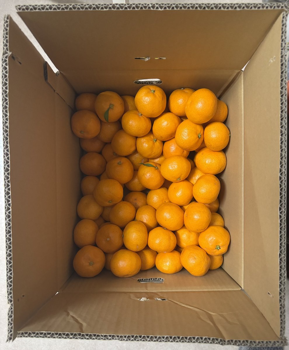 那波 歩才/Fusai Naba tweet media