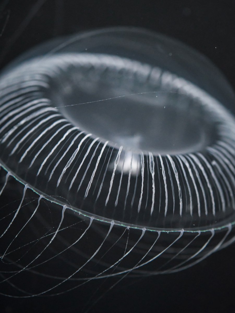 ゆら🤍💉 (@yura9rg) / Posts / X