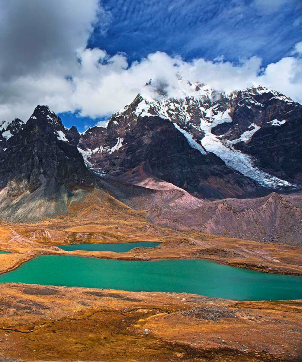 Andes Amazon Fund tweet media