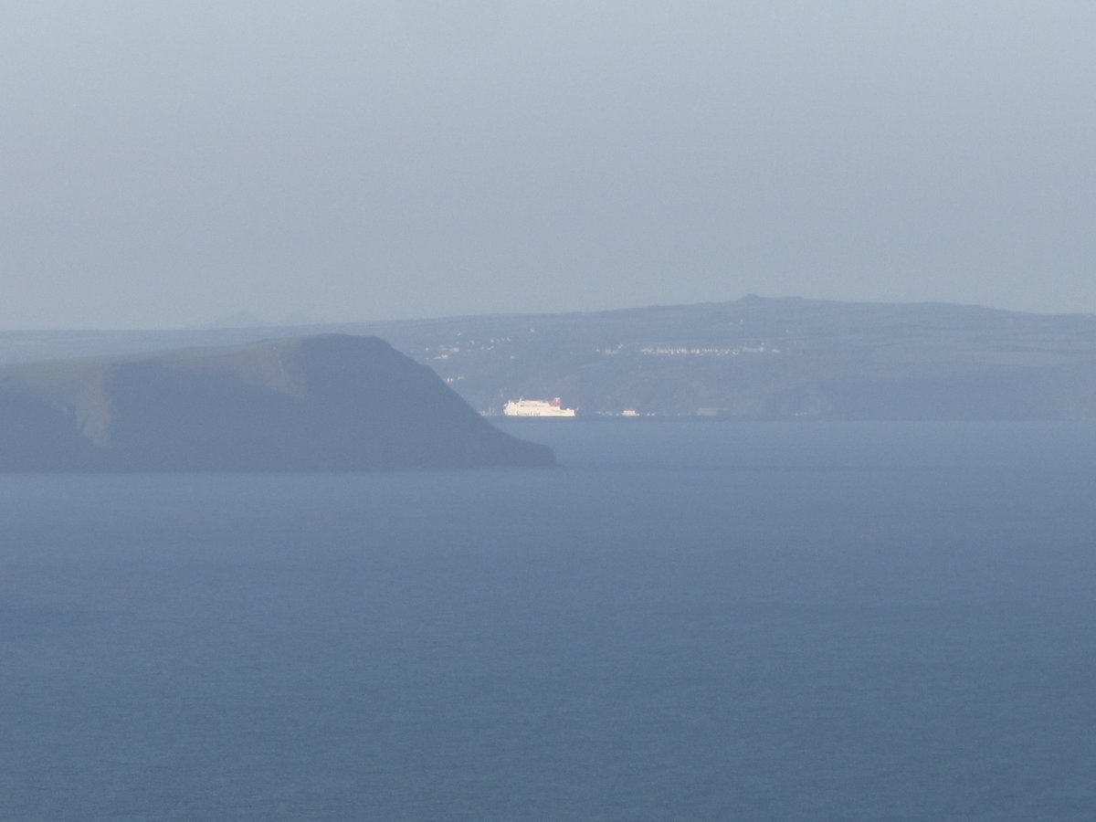 emlynevan's tweet photo. Bit of cold haze over #FishguardBay this morning from our top field #Bigni Big boat #StenaSealink in Fishguard Port .. unsure if she is about to sail back to Rosslare this morning 🌞🎄🏴 https://t.co/jCqbyIoP6s