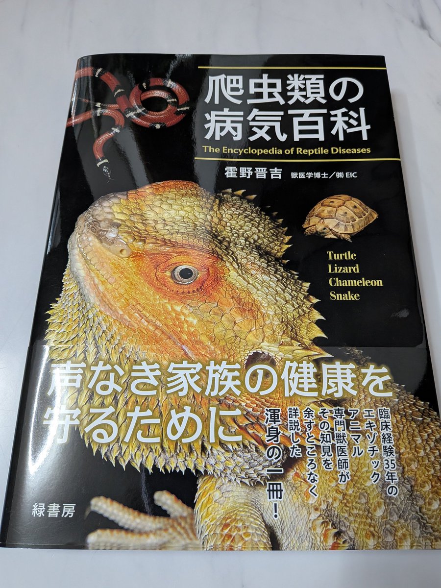 長男に探して買ってきてもらった！