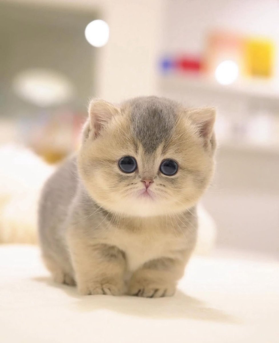 💙 MrSaud (@no_oln) on Twitter photo 