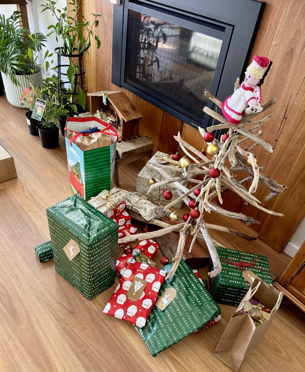 Driftwood Christmas tree courtesy of the #sea 💦