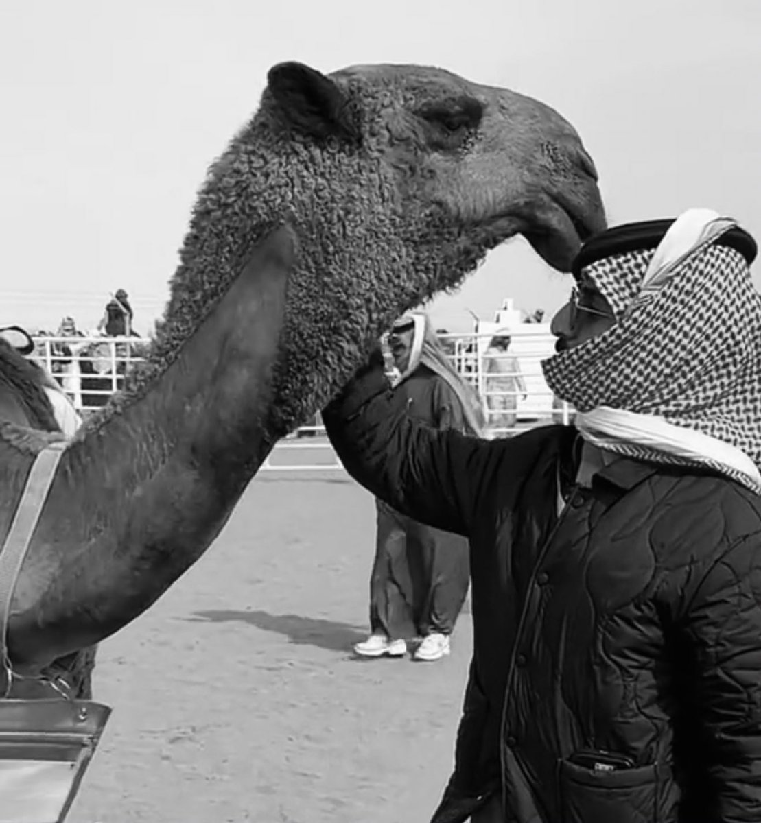 #نواف_عقاب

حب البل فرض والبداوه يشهدون
وانشهد ان حبها مالي منه نجاه