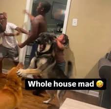 Ashes 4th Test Day 1