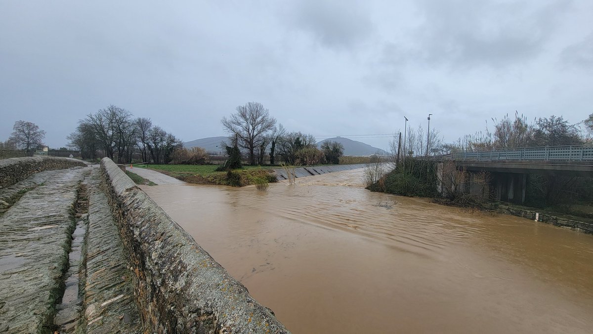 ManelCruz tweet media