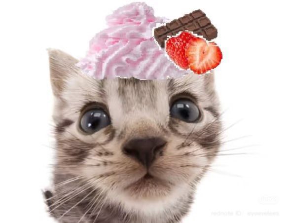 heartipink's tweet image. 