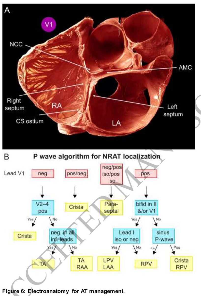 Diego Segura-Rodríguez tweet media