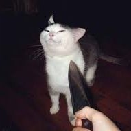 ThePsychoNyxZ's tweet image. Spot the difference