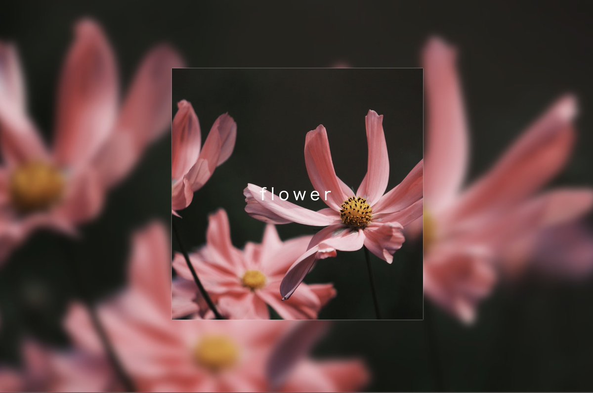 Image for the Tweet beginning: 【学習 111日目】
📍ウィークリーコーディング他：2h（359.25h）
━━
🖥️ blur/スクロールアニメーション
━━
💭ぼかし＋鮮明の組み合わせが素敵だなーと参考を真似したり、ウィークリーコーディングのスクロールに応じたぼかし表現を触ったり keyframesの指定奥深い #デイトラ