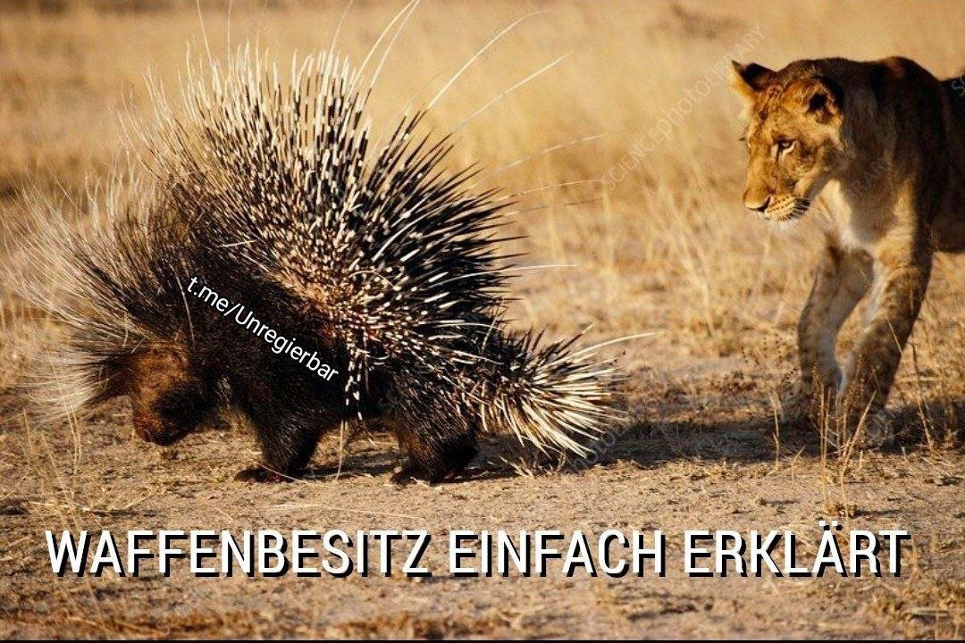 Politische Bilder