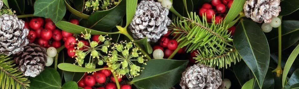 Season's Greetings!  
We're open for five days between the two big events, including tomorrow, Saturday - but please note the reduced hours.
Sat 27th     10 - 4
Sun 28th    10 - 4
Mon 29th   10 - 4
Tues 30th   10 - 4
Wed 31st   10 - 4
Thurs 1st    closed
Fri 2nd    9 - 6