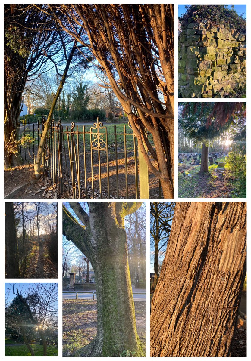 Flynn In The Forest tweet media