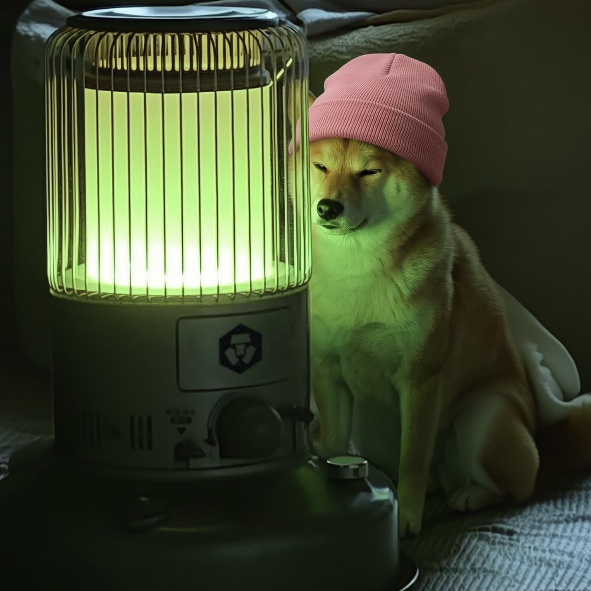 Stay warm, stay green