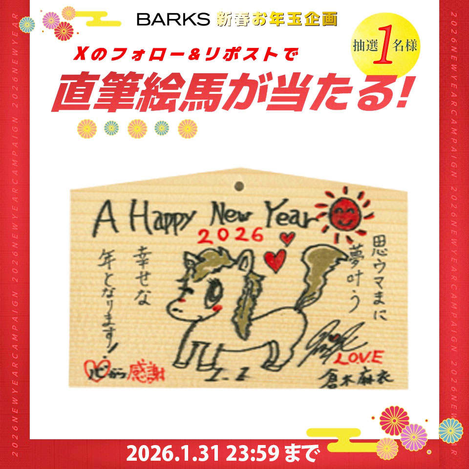 ＼✨ フォロー＆リポストで応募 ✨／
🎍【BARKS新春企画】🎍

「倉木麻衣 2026年の抱負」
直筆絵馬プレゼント🎁
1月31日（土）23:59まで

① <a href="/barks_news/">BARKS編集部</a>をフォロー
② このポストをリポスト

応募詳細は下記
x.gd/DKJ1y

#倉木麻衣 #BARKS