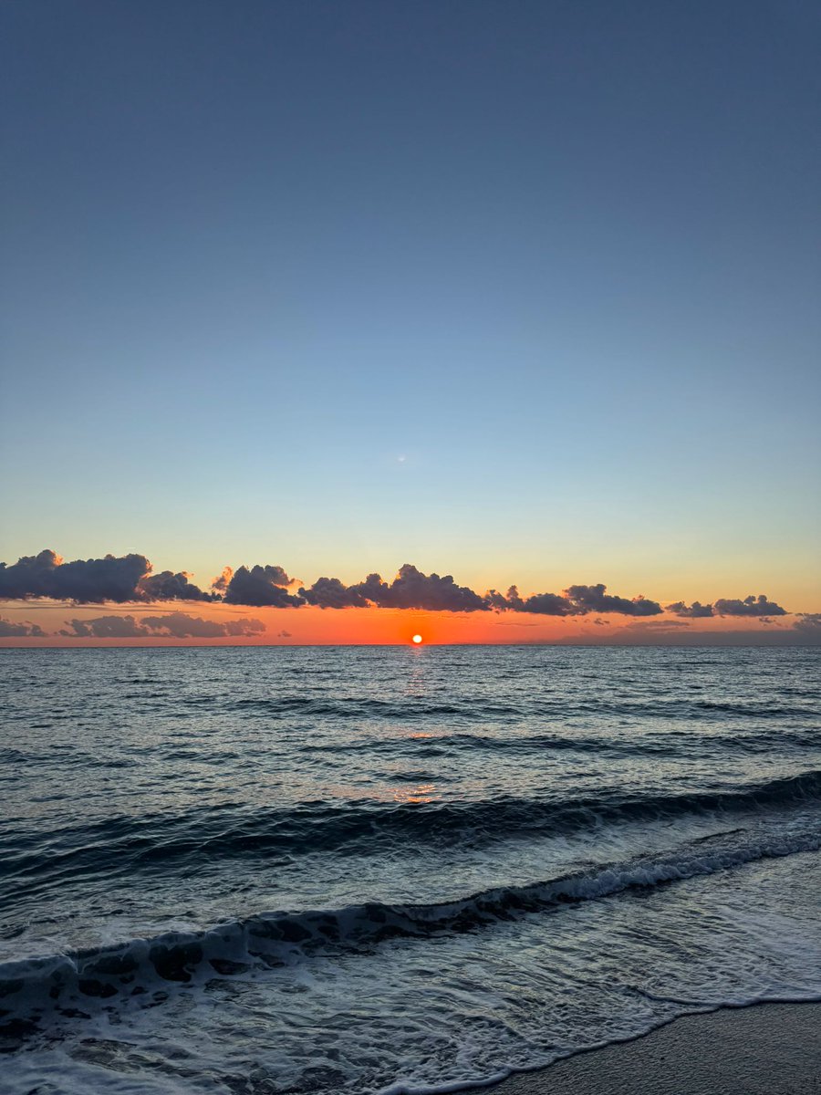 hawsett4's tweet image. 