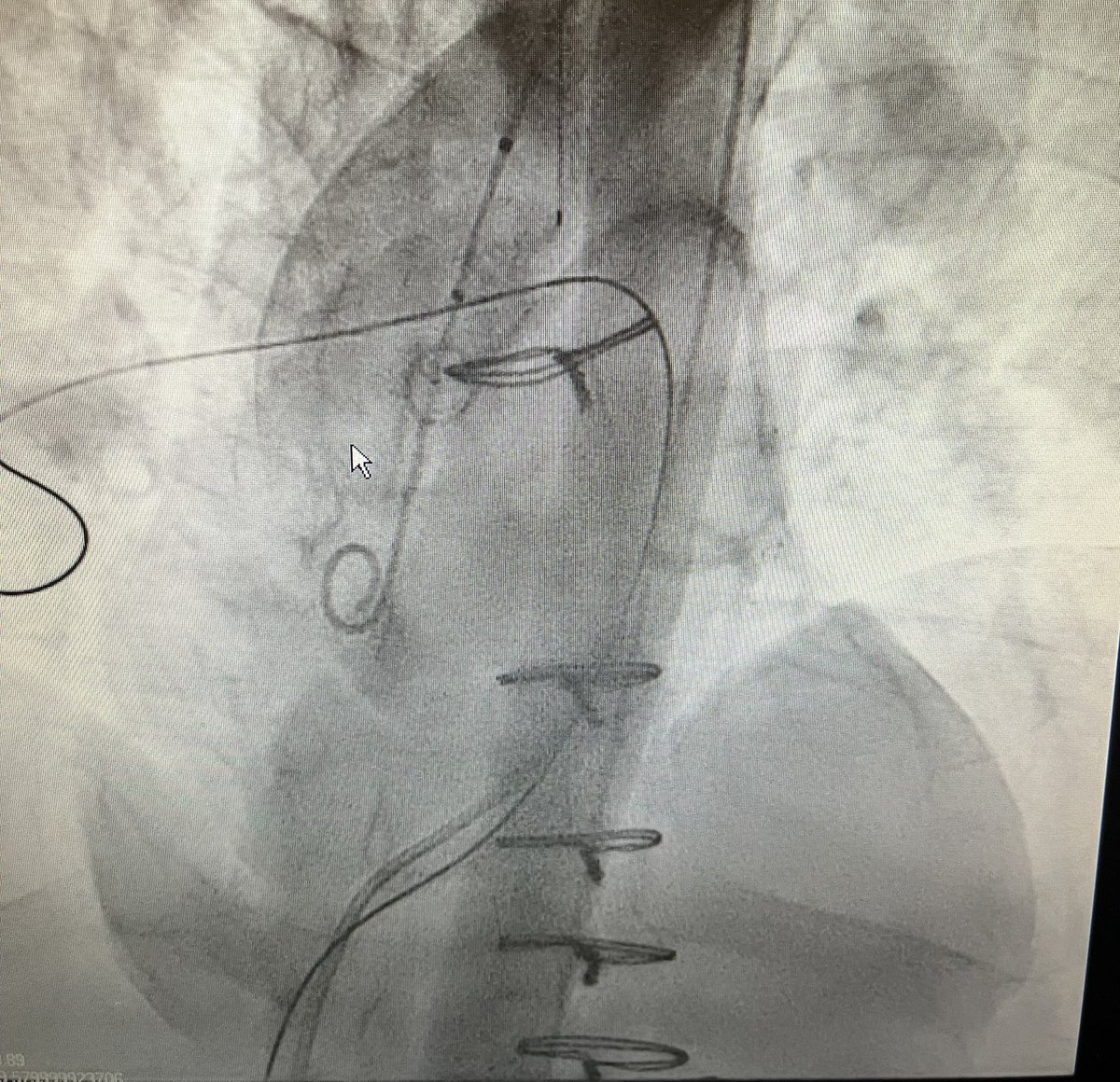 Josh Kurtz MD tweet media