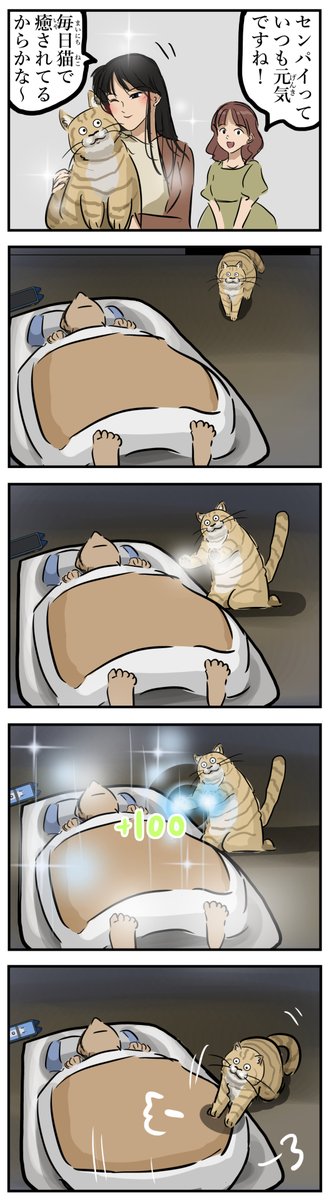 癒し系。(再) 