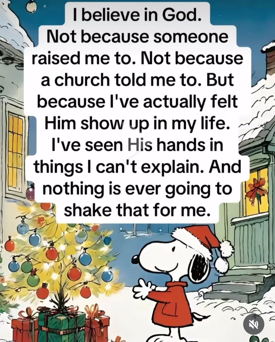 GM!☀️Have a blessed day!🎄