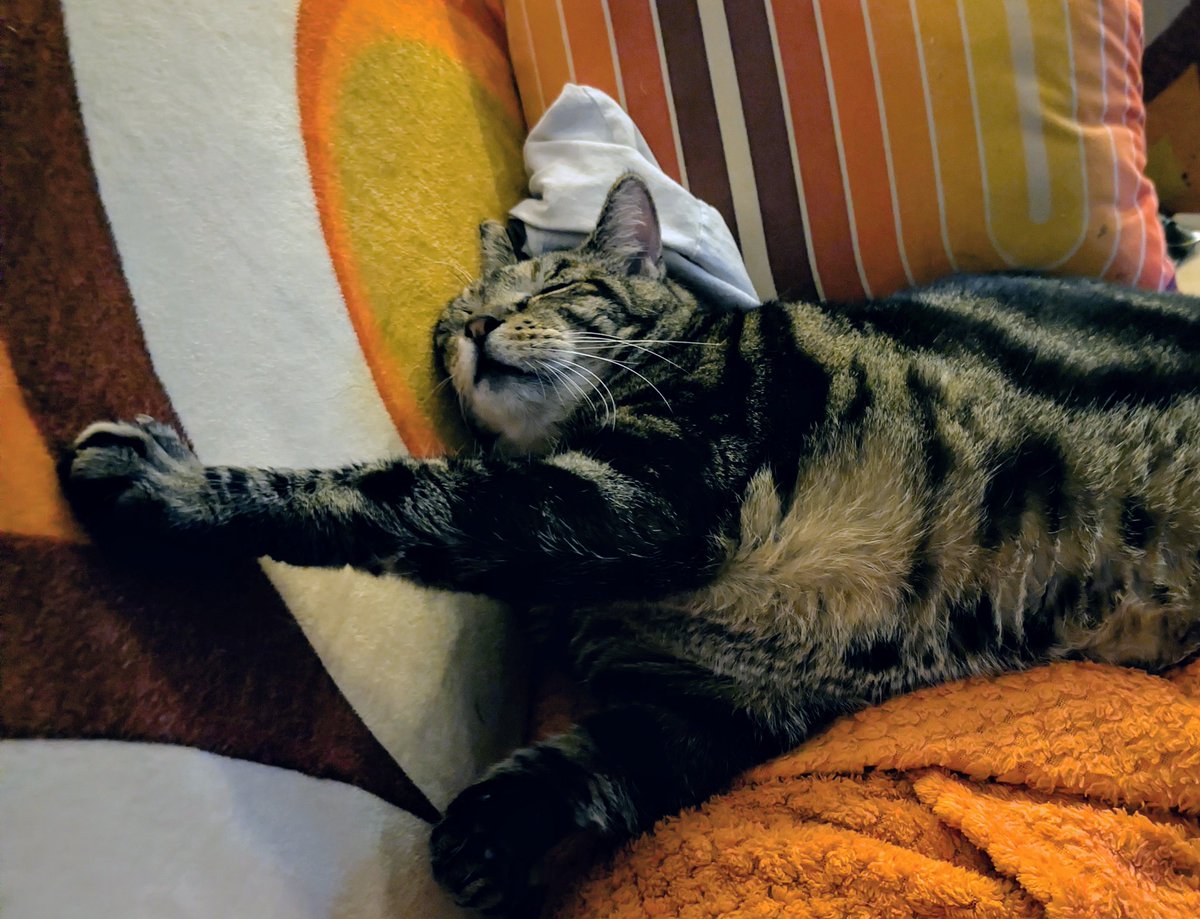 Cℏris | DCA tweet media