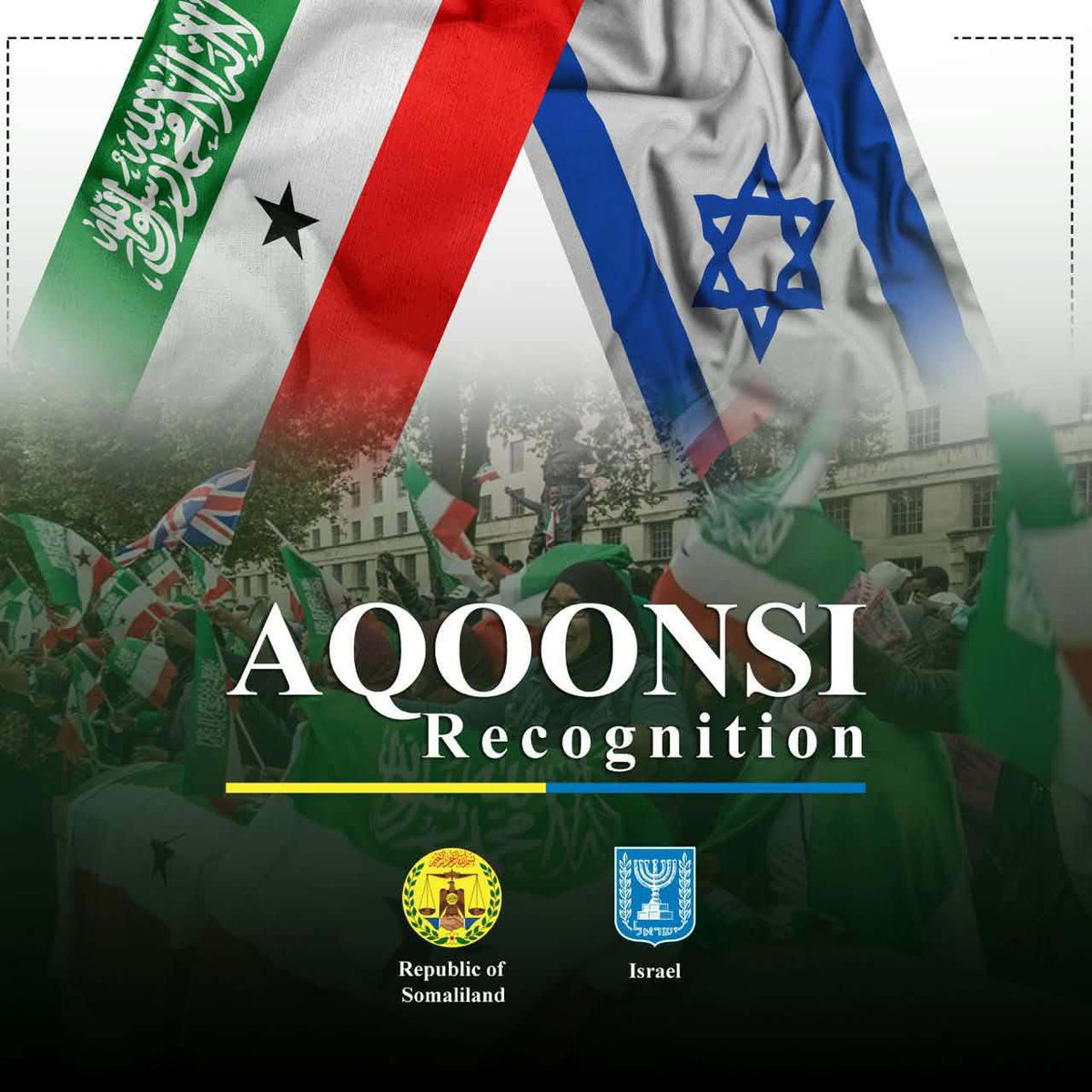 Somaliland Institute of Diplomacy & I. Affairs tweet media