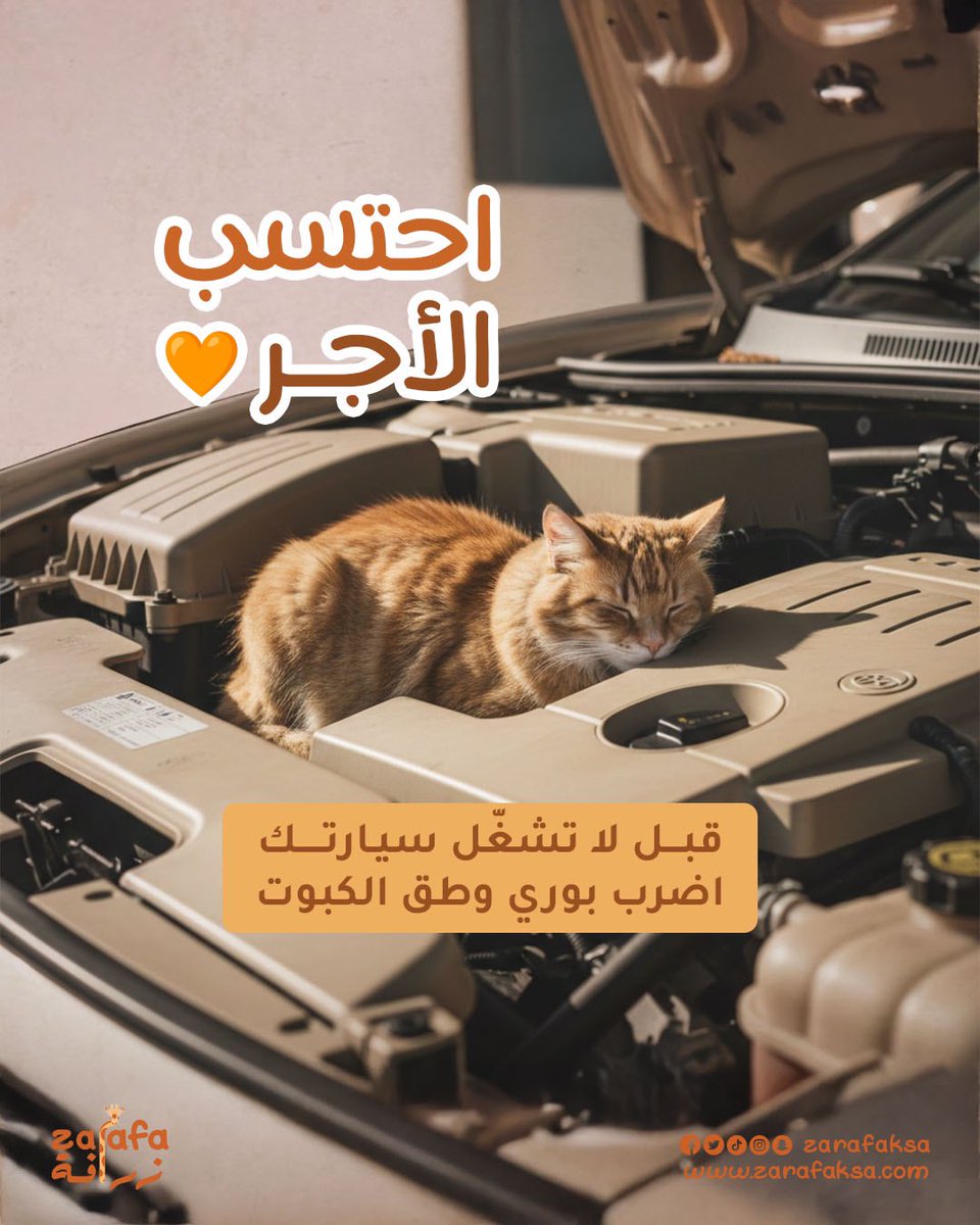 متجر زرافة tweet media