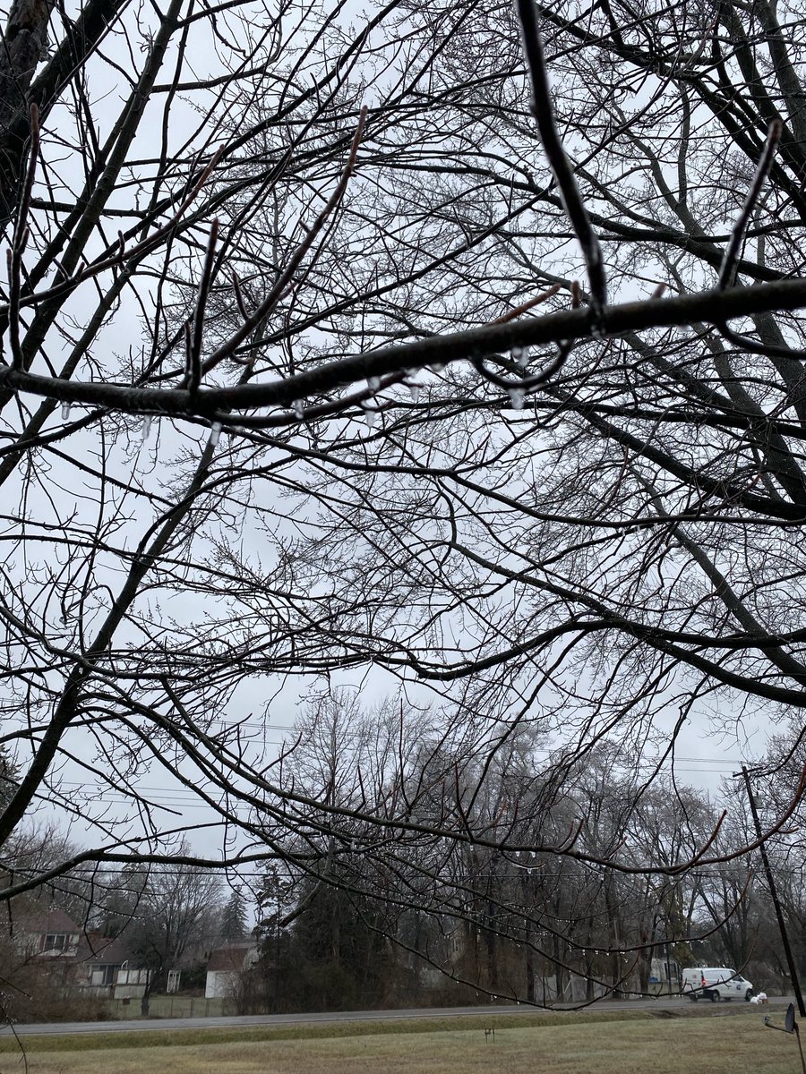 ZacharyYack's tweet photo. ⁦@NWSDetroit⁩ measured at 11 AM and got 0.5 inches of ice accumulation. Location is in Flint Township on Dye Rd between Court and Calkins https://t.co/MpcA39cntz