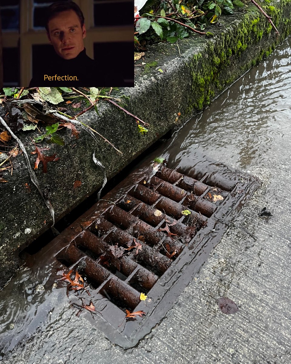 Clogged storm drains can lead to flooding, landslides, and more headaches. 

Contact SPU if you suspect a storm drain is clogged and causing problems at 206-386-1800, contact SDCI if a storm drain insert is causing the clog at 206-684-8600.
