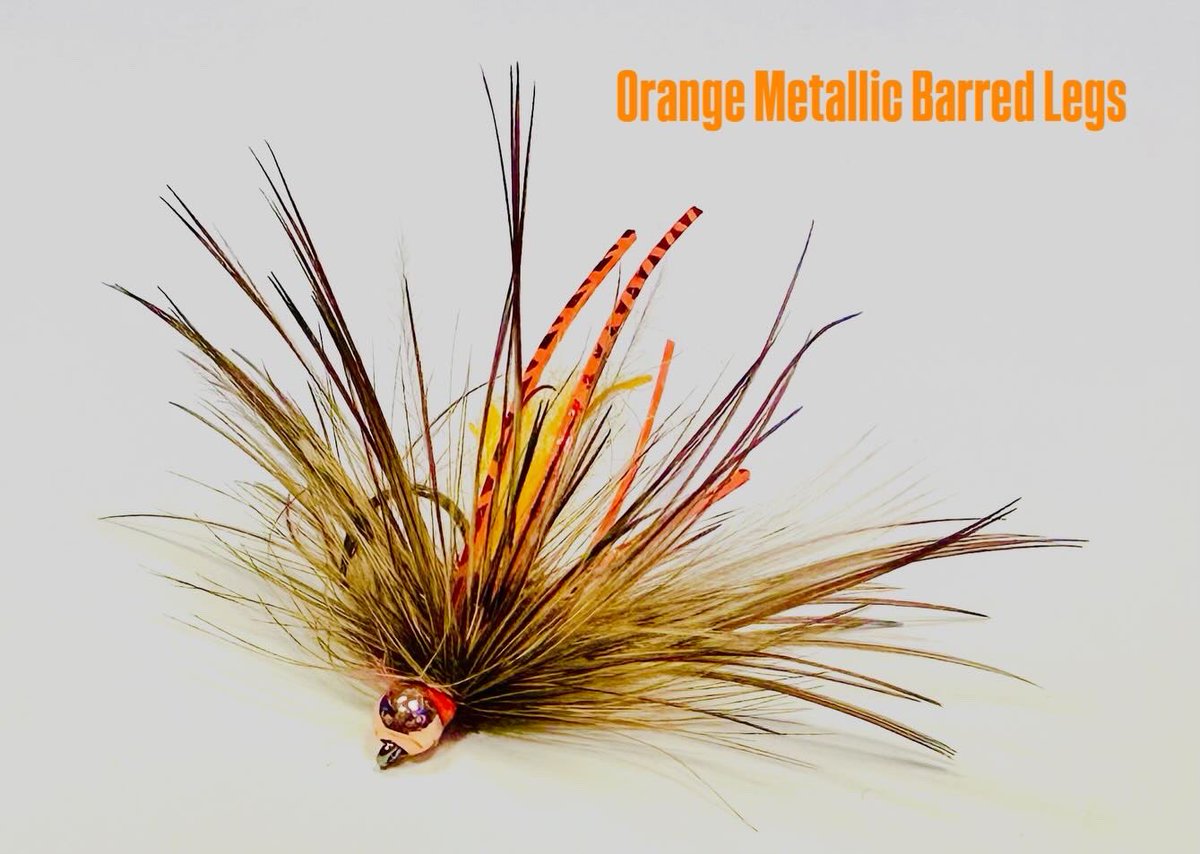 Jonathan James (JJ) tweet media