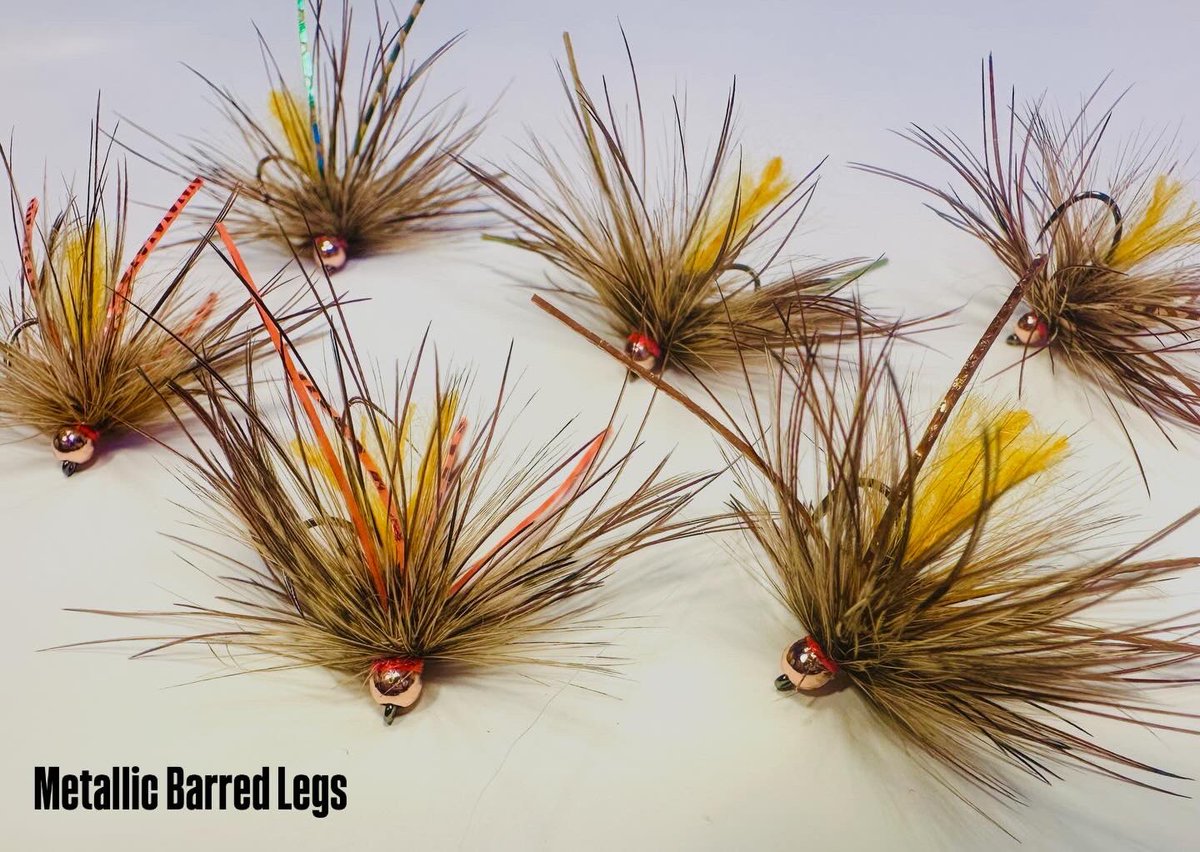 Jonathan James (JJ) tweet media