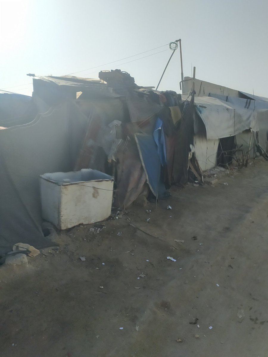 sami. hass tweet media