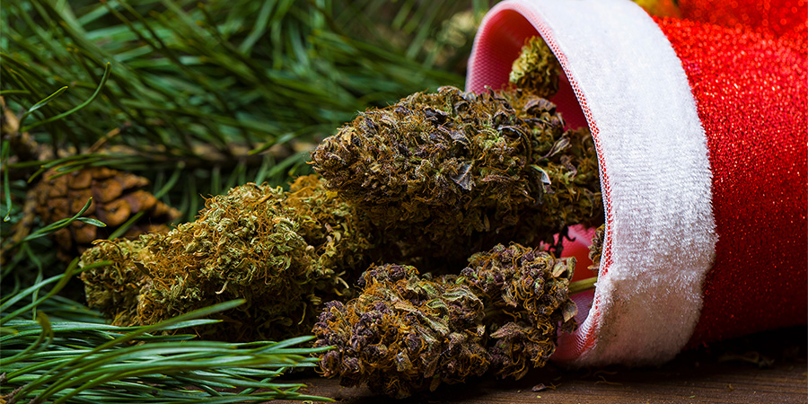 Fun holiday guide to cannabis gifts for Christmas and New Year, with beginner-friendly picks, cozy sleep and CBD options, stylish accessories, stocking stuffers, and what to avoid for a safer, happier vibe.
cannawayz.com/blog/products-…