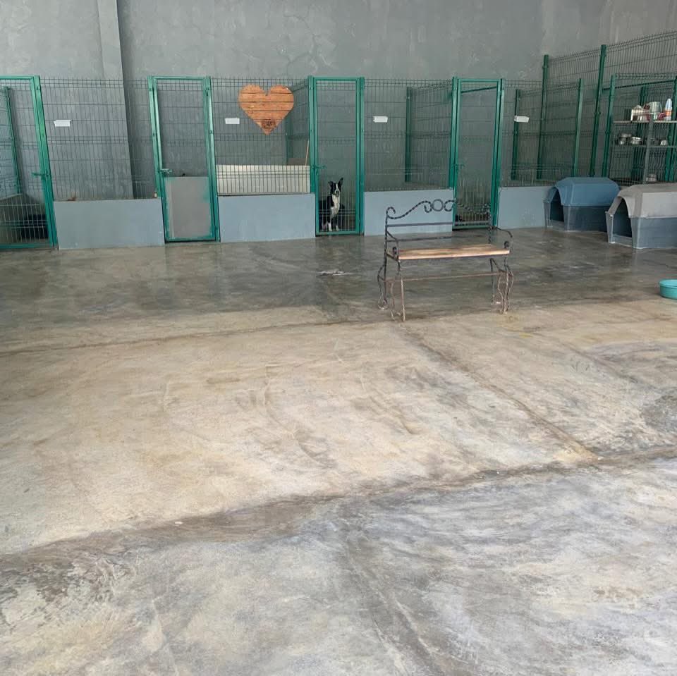 Hoy Santa llegó a nuestro refugio 🎅✨ llegó con algo que para nosotros es muy importante : donaciones de material de limpieza.

Gracias a este apoyo, nuestros patrones tienen un espacio limpio y digno durante todo un mes, un lugar donde pueden sanar, sentirse seguros y esperar