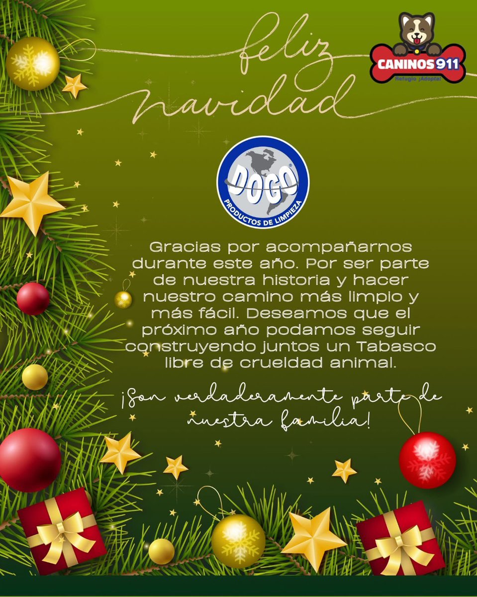 Gracias @dogovillahermosa por acompañarnos durante este año. Por ser parte de nuestra historia, por creer en nuestro proyecto y hacer nuestro camino más fácil. Deseamos que el próximo año podamos seguir construyendo juntos un Tabasco libre de crueldad animal.
¡ Feliz Navidad !
