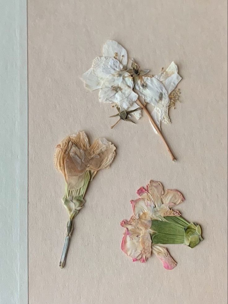 twilightstardew's tweet image. 