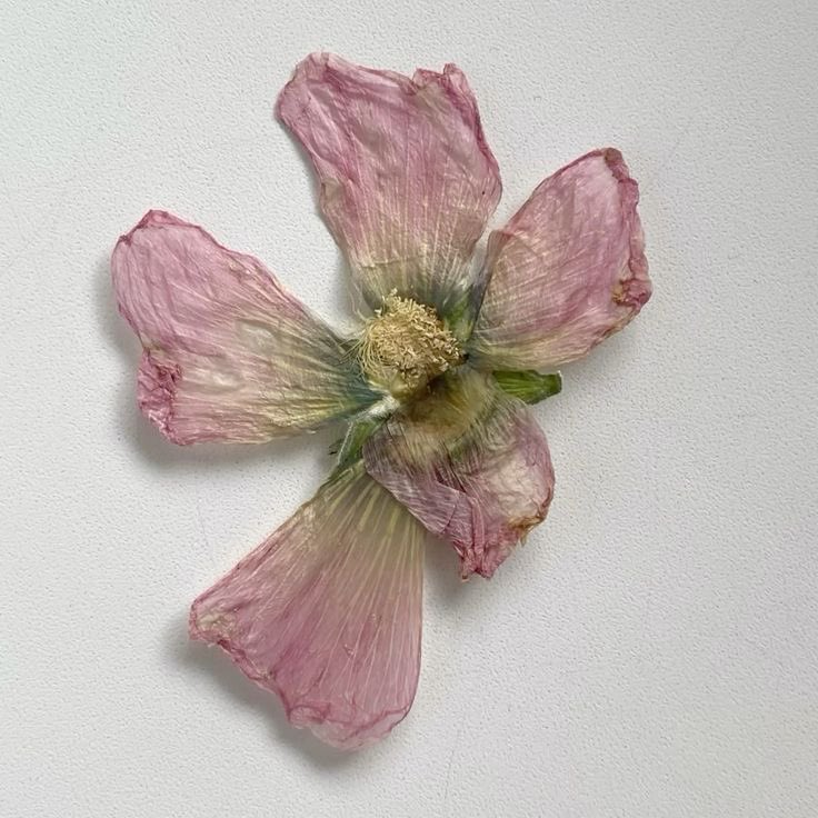 twilightstardew's tweet image. 