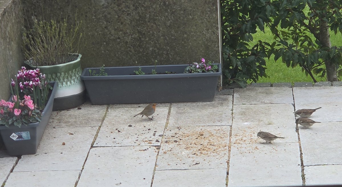 Déantóirí Stocaí Marcaíochta Capall Sublimation Ardchaighdeáin  Saincheaptha, Monarcha - Seirbhís Mhórdhíola - GS TEXTILE, image size:1200x657