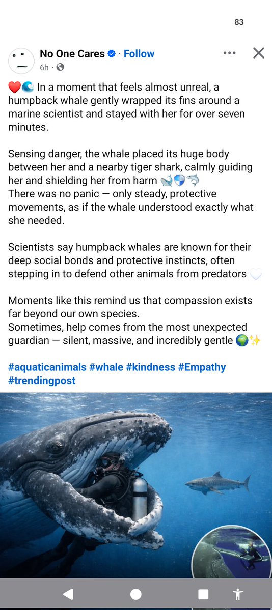 Roadches webmasterhonda (@roadches) on Twitter photo 