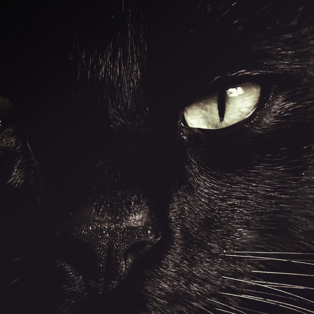 simoonghostr's tweet image. careful not to get cut 🔪