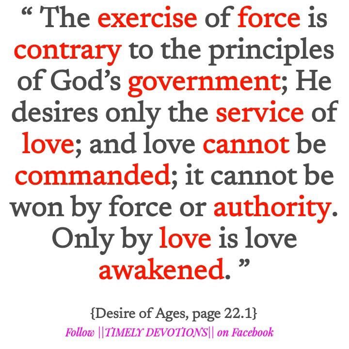 tinytabernacle's tweet image. 