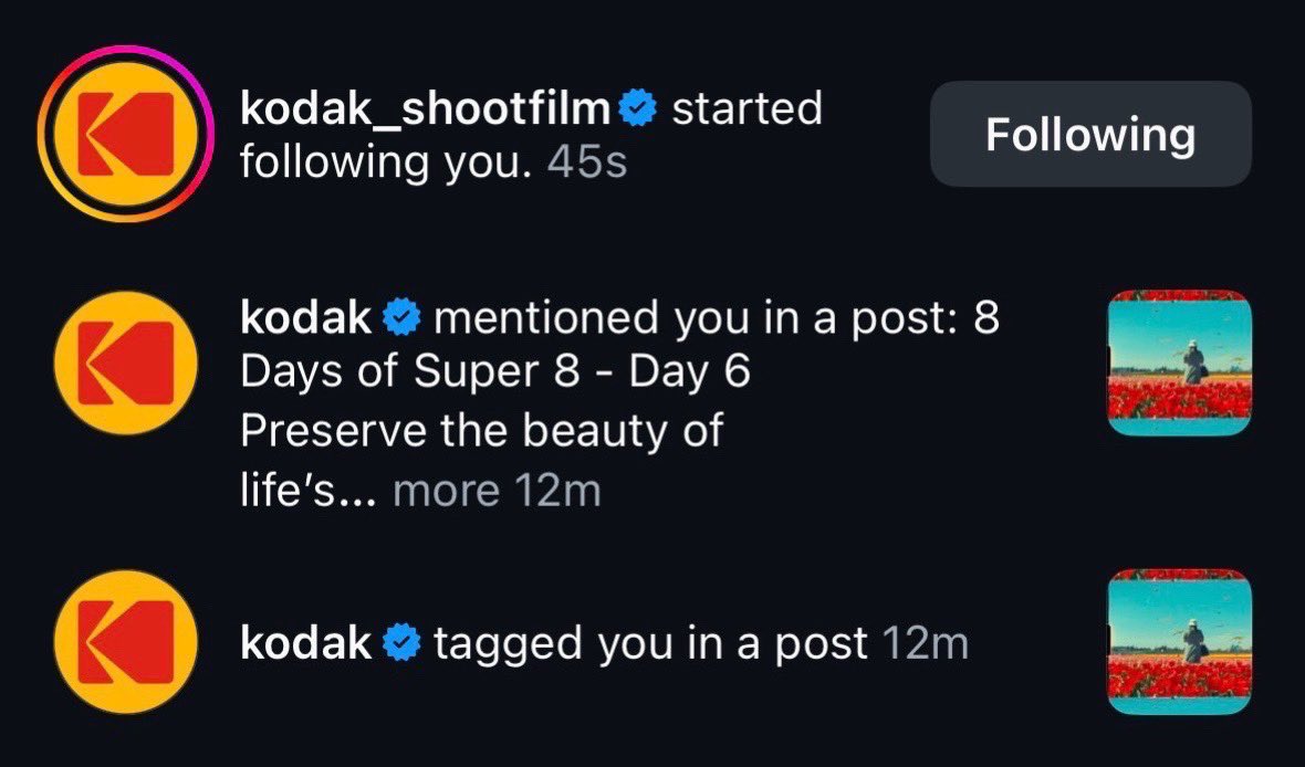 Chris Toro tweet media