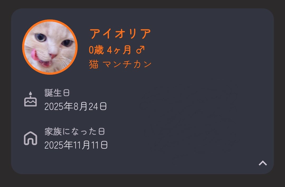 ysbsyu's tweet photo. 血統書の本名にちょっとふふってなった🫠🫠🫠ほんと福島から大阪まではるばる…と感慨深い
🔻10匹兄弟(♀7匹 ♂3匹)みたいなので、血縁の子拝みたいな〜。福島県 かつ 2025.08.24生まれの子、ワンチャンうちの子と兄弟どす
#マンチカン https://t.co/SXyhZXwD3O