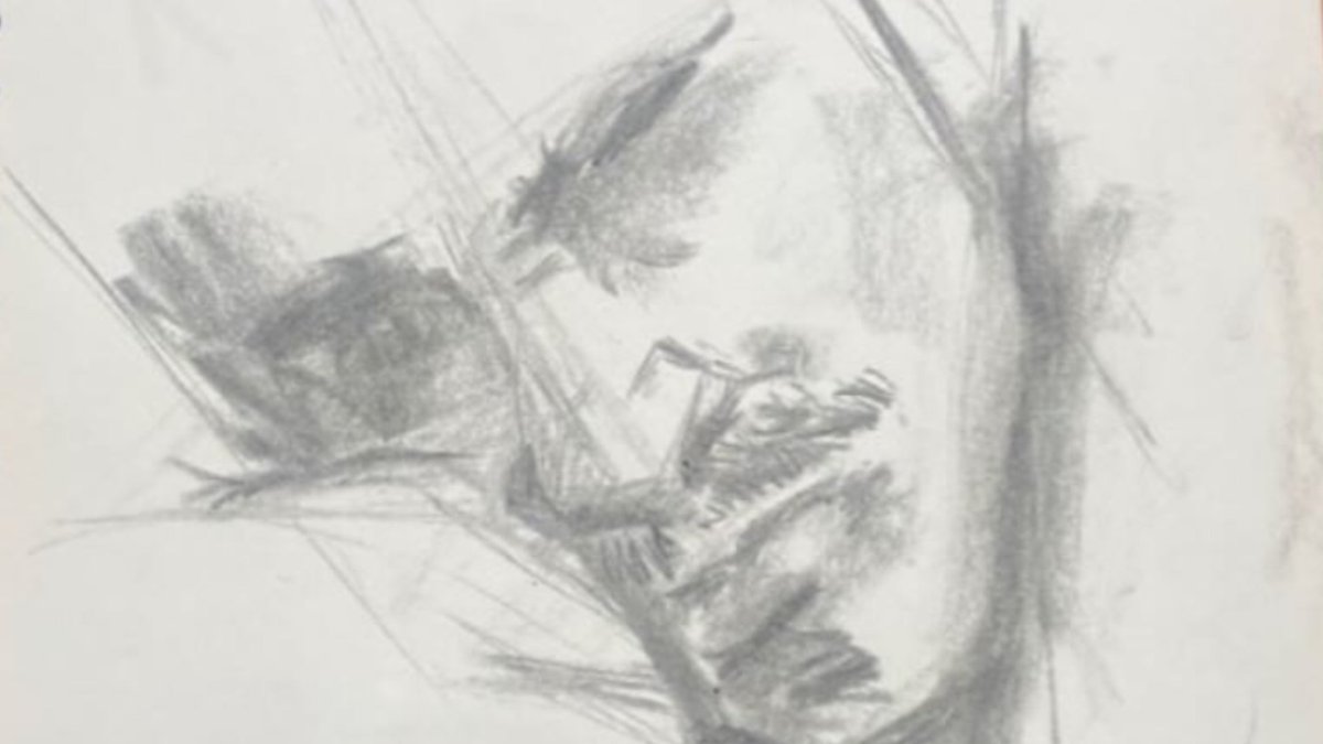 munogramas's tweet image. retratos 🎨