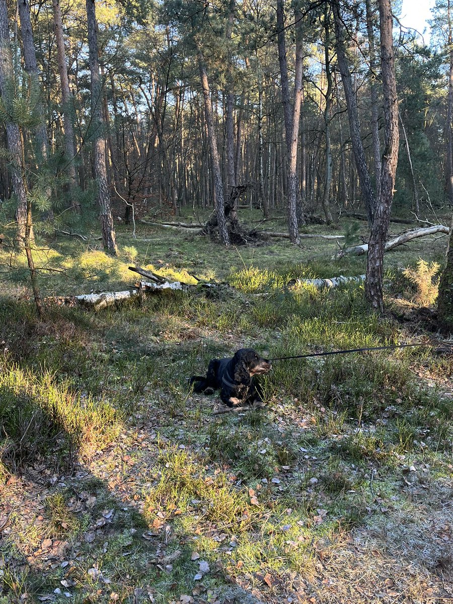 2001Xander's tweet image. even gras aangeraakt