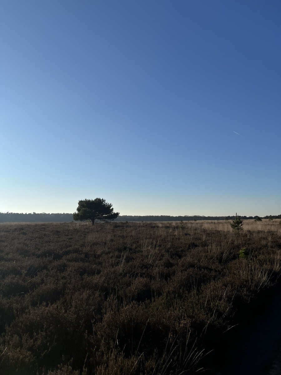 2001Xander's tweet image. even gras aangeraakt